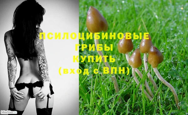 spice Абаза