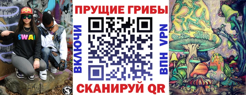 где можно купить наркотик  kraken ссылки  Галлюциногенные грибы MAGIC MUSHROOMS  Серафимович 